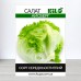Насіння салату Айсберг, 0,5 кг